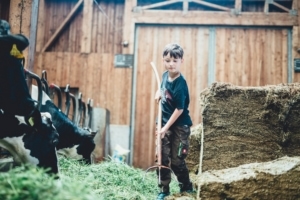 Jakob hilft beim Einfüttern der Kühe